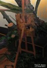 Виталий Пушницкий. Леший № 1. Фрагмент. 2020. Холст, масло. Marina Gisich Gallery. Санкт-Петербург. Фоторепродукция Татьяны Шепелевой