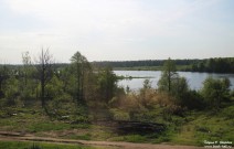 По дороге в Варнавино. Фото Татьяны Шепелевой