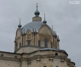 Церковь Живоначальной Троицы. Купол. Гусь-Железный Рязанской области. Фото Татьяны Шепелевой. 19 мая 2015 года