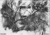 Алексей Мясников. Март. 2023. Бумага, уголь