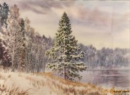 Иван Ворожейкин. Светлояр. Сосна. 2025. Бумага, акварель