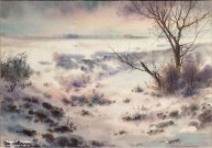 Иван Ворожейкин. Холодный день. 2002. Бумага, акварель