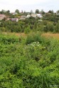Сельский пейзаж. Деревня Сартаково Богородского района Нижегородской области. Фото Татьяны Шепелевой. 27 августа 2014 года