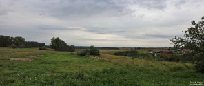 В краю берёз и полей. Березополье. Деревня Сартаково Богородского района Нижегородской области. Фото Татьяны Шепелевой. 27 августа 2014 года