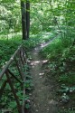 Вниз, к Супротивному ключу. Васильсурск, Цепельская роща. Воротынский район Нижегородской области. Фото Татьяны Шепелевой. 11 июля 2014 года