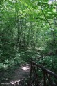 Спуск по лесной тропе к священному Супротивному ключу. Васильсурск, Цепельская роща. Воротынский район Нижегородской области. Фото Татьяны Шепелевой. 11 июля 2014 года