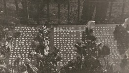 Фамилия Крюкова Дмитрия Михайловича в списке погибших в годы войны на мемориальной плите братского захоронения в посёлке Новая Малукса Ленинградской области