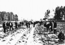 Будущая Аллея Памяти в селе Останкино Борского района Горьковской (Нижегородской) области