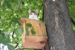 Хозяева в отлёте. Автор Вася Кузнецов