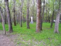 ''Весна. Пробуждение (парк им. 1 Мая)''. Фото Пиняковой Н.И.