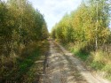 ''Сельская дорога. В осенних тонах''. Фото Осипова Олега