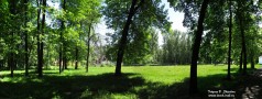 В парке культуры и отдыха им. 1-го Мая. 2010 г.