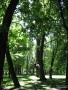 В парке культуры и отдыха им. 1-го Мая. 2010 г.