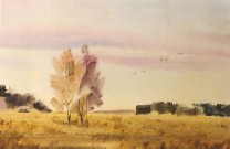 Сергей Квач. Птицы улетают