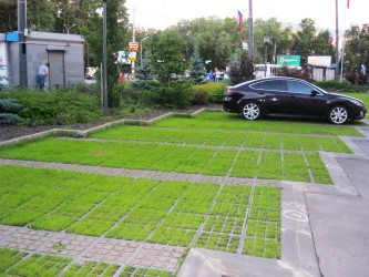 15 июня. Несколько слов об экопарковках. Экологическая парковка на площади Свободы. Автор Полина Круглова 15 июня. Несколько слов об экопарковках. Экологическая парковка на площади Свободы. Автор Полина Круглова